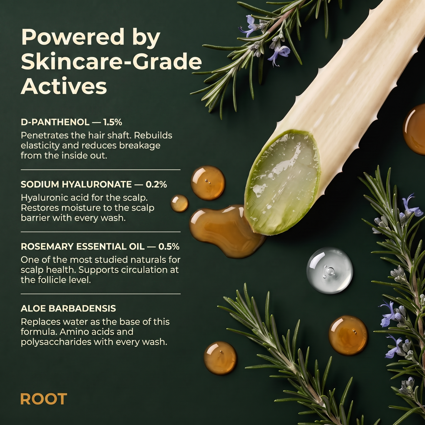 ROOT Scalp + Hair Treatment Bar
