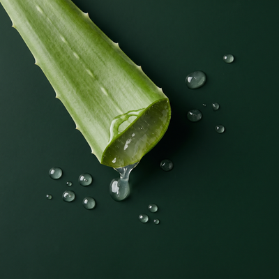 Aloe Barbadensis — 30.60%